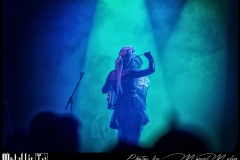 Selofan-DSC_7497_DxO