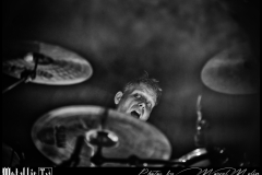 And-Also-The-Trees-DSC_1190_DxO