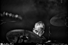 And-Also-The-Trees-DSC_1192_DxO