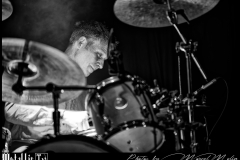 And-Also-The-Trees-DSC_1273_DxO
