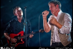 And-Also-The-Trees-DSC_1389_DxO