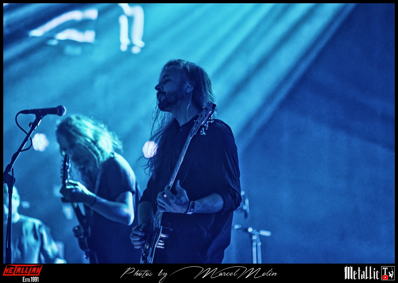 Spurv-DSC_7993_DxO