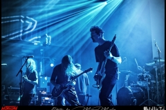 Spurv-DSC_7990_DxO