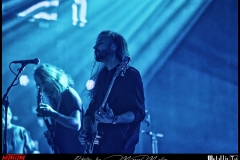 Spurv-DSC_7993_DxO