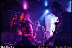 Super-Dragon-Punch-DSC_0735_DxO-1350