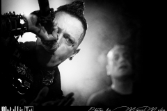Super-Dragon-Punch-DSC_0765_DxO-selection-1350