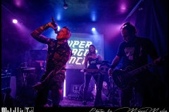 Super-Dragon-Punch-DSC_4299_DxO-1350