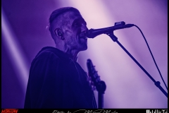 Wheel-DSC_8798_DxO