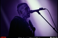 Wheel-DSC_8799_DxO