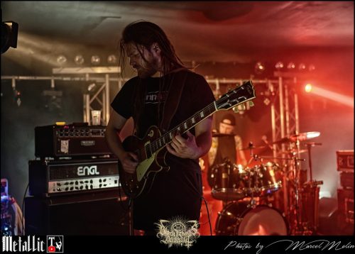 AMIMIA-DE-DSC 4233 DxO