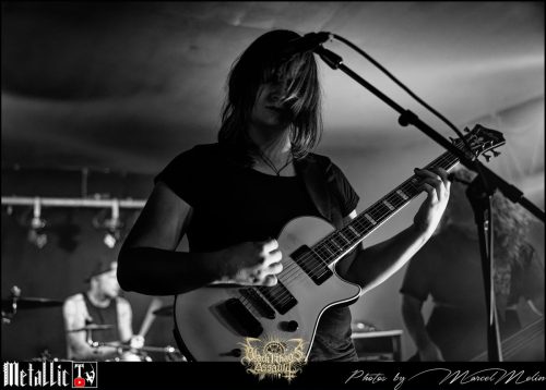AMIMIA-DE-DSC 4239 DxO