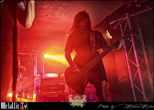 AMIMIA-DE-DSC 4242 DxO