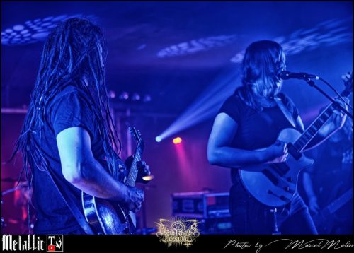 AMIMIA-DE-DSC 4244 DxO