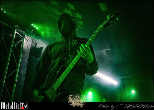 ANTZAAT-BE-DSC 6919 DxO