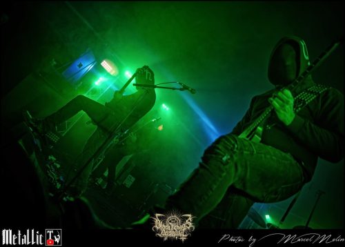 ANTZAAT-BE-DSC 6947 DxO