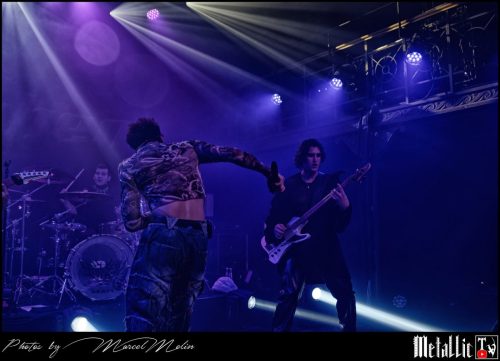 Ashen-DSC 0446 DxO-selection-1