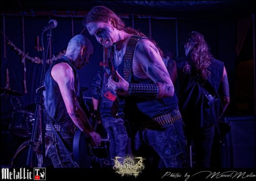 BLOEDMAAN-DSC 5989 DxO