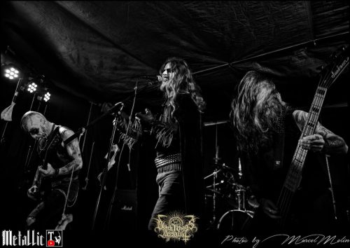 BLOEDMAAN-DSC 6012 DxO