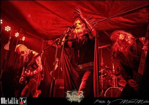 BLOEDMAAN-DSC 6015 DxO