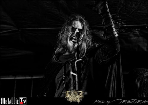 BLOEDMAAN-DSC 6017 DxO