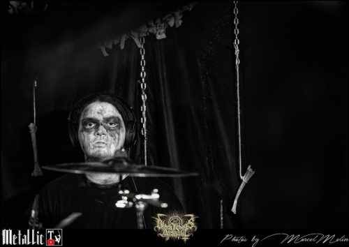 BLOEDMAAN-DSC 6021 DxO