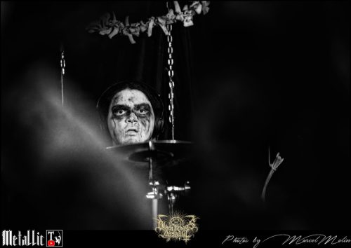 BLOEDMAAN-DSC 6022 DxO