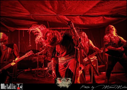 BLOEDMAAN-DSC 6045 DxO