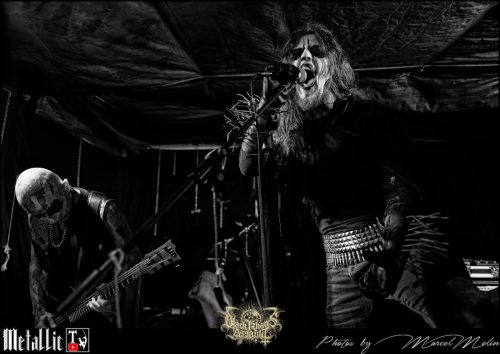 BLOEDMAAN-DSC 6057 DxO