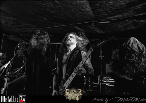 BLOEDMAAN-DSC 6072 DxO