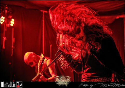 BLOEDMAAN-DSC 6077 DxO