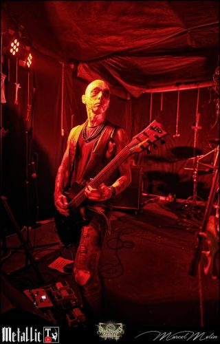 BLOEDMAAN-DSC 6093 DxO