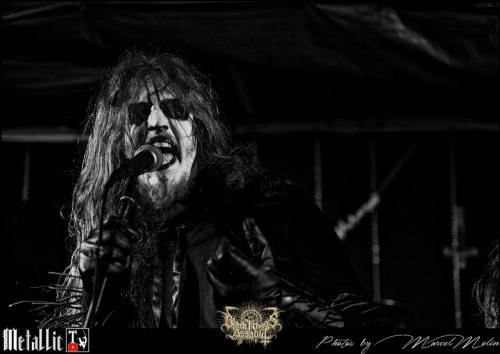 BLOEDMAAN-DSC 6114 DxO