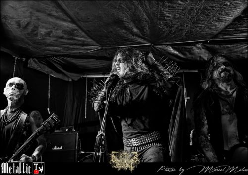 BLOEDMAAN-DSC 6119 DxO-selection-4