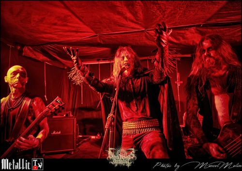 BLOEDMAAN-DSC 6123 DxO