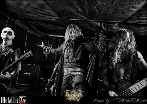 BLOEDMAAN-DSC 6129 DxO