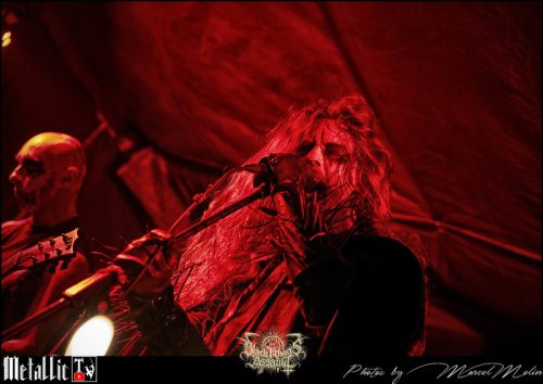 BLOEDMAAN-DSC 6155 DxO