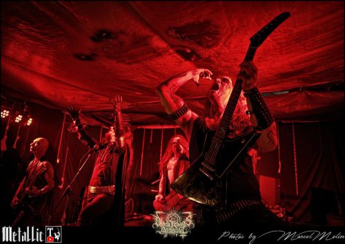 BLOEDMAAN-DSC 6169 DxO