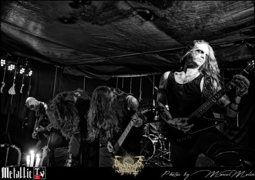 BLOEDMAAN-DSC 6170 DxO