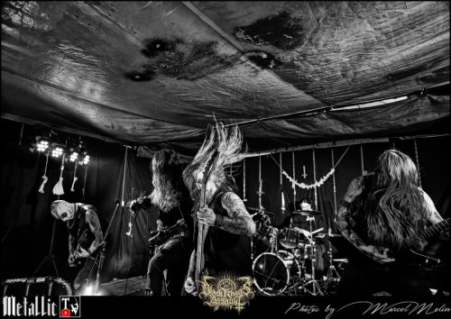 BLOEDMAAN-DSC 6174 DxO