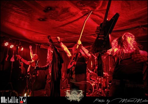 BLOEDMAAN-DSC 6181 DxO