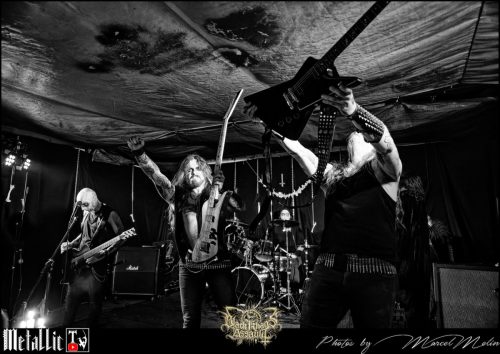 BLOEDMAAN-DSC 6185 DxO-selection-6