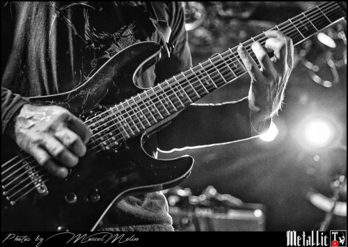 Bockreiter-DSC 3177 DxO