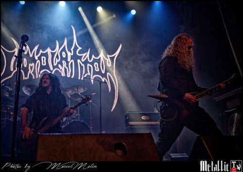 DSC 4505 DxO