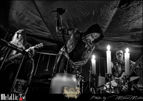 HEINOUS-DSC 6203 DxO