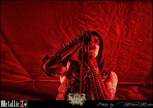 HEINOUS-DSC 6208 DxO