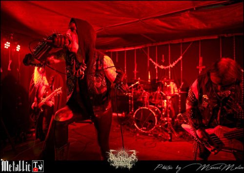 HEINOUS-DSC 6260 DxO