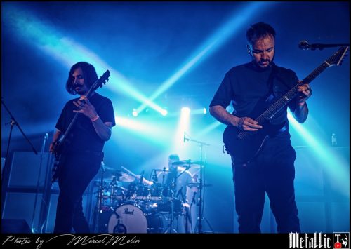 Hippotraktor-DSC 1602 DxO