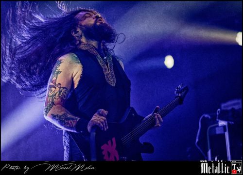 Lowen-UK-DSC 2094 DxO-selection-3