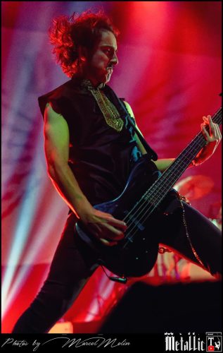 Lowen-UK-DSC 2119 DxO