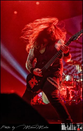 Lowen-UK-DSC 2170 DxO